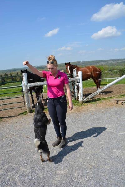 Sky Haven Retreat & Equestrian Centre