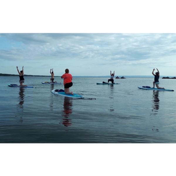 Wild Dreamer Yoga & SUP