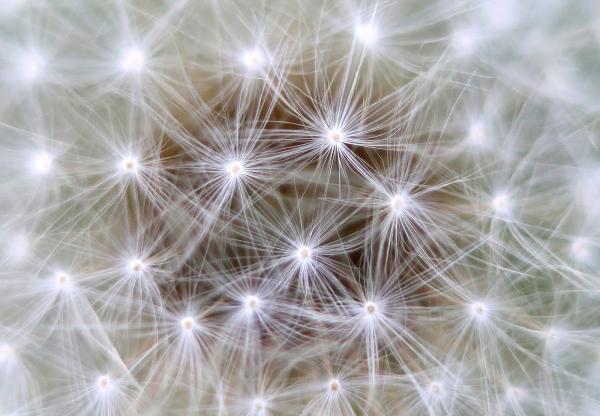 Neurofeedback Julie Grenier