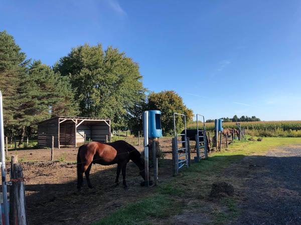 Equestrian Center Mac