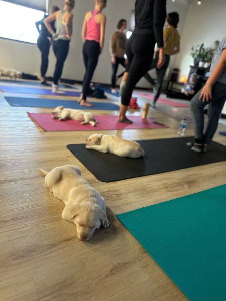 Park Yoga & Wellness