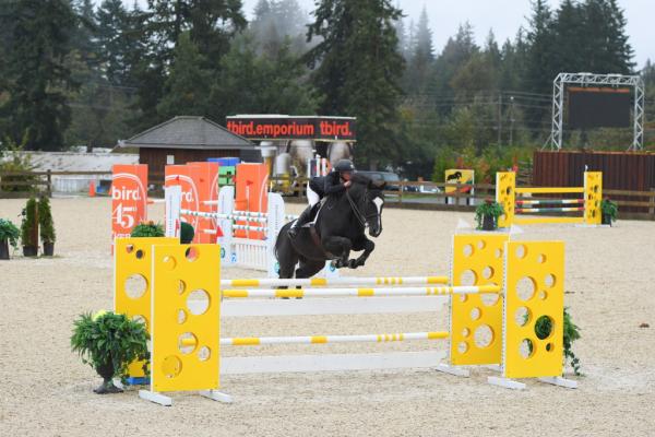 In Stride Equestrian Training