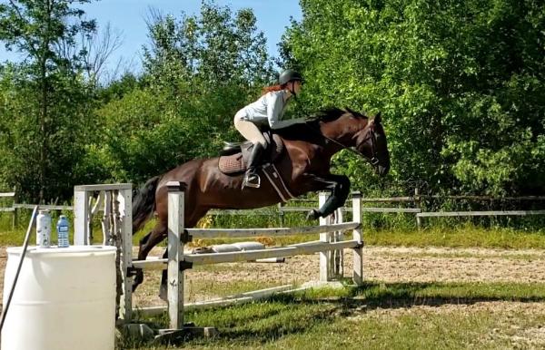 Bridle Path Equestrian Centre