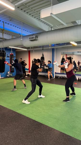 Elite Boxing & Fitness