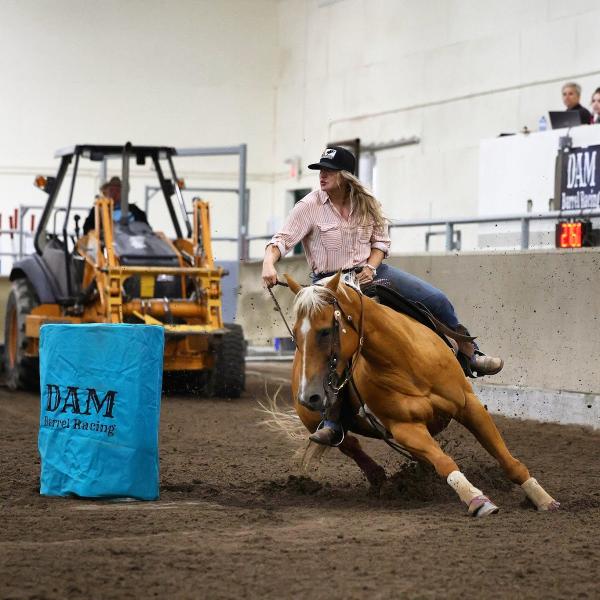 Matter's Equine