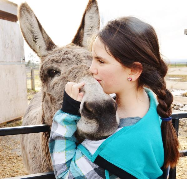 Story Book Meadows Equine Assisted Services