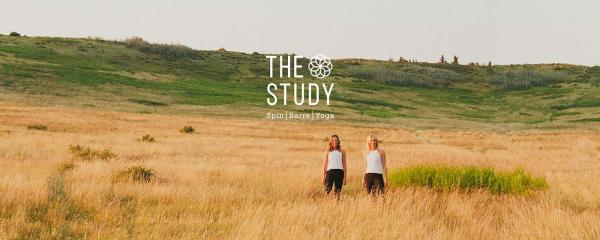 The Study Movement & Wellness Studio