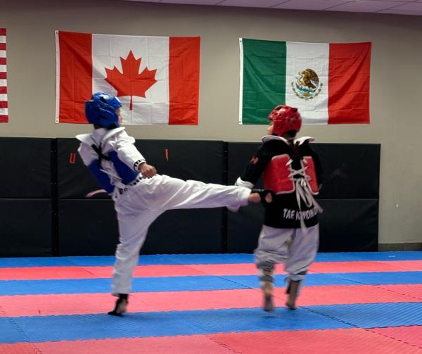 Nata Taekwondo Oakville