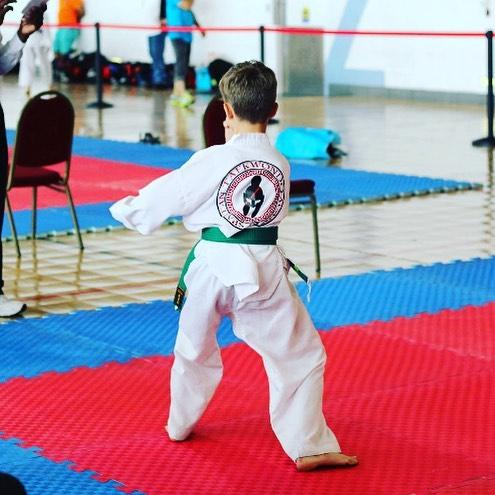 Spartan Taekwondo Academy