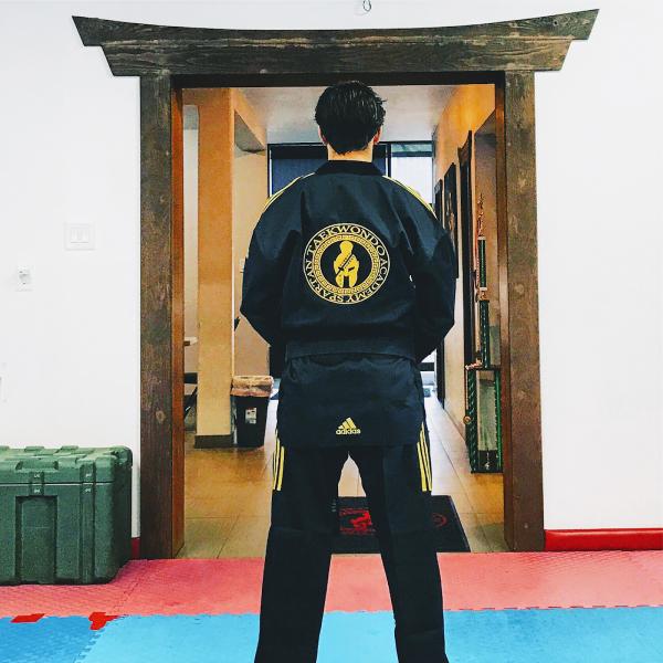 Spartan Taekwondo Academy