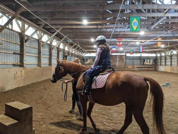 Queenswood Stables