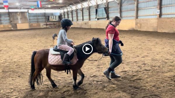 Queenswood Stables