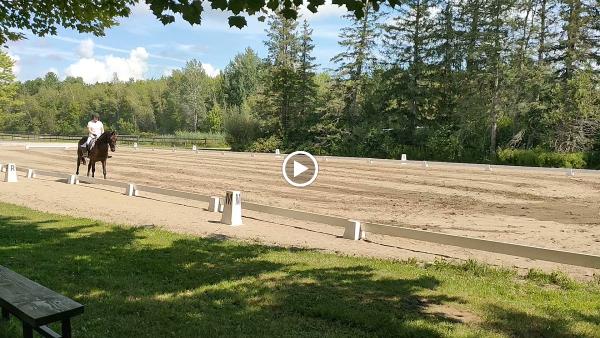 Queenswood Stables