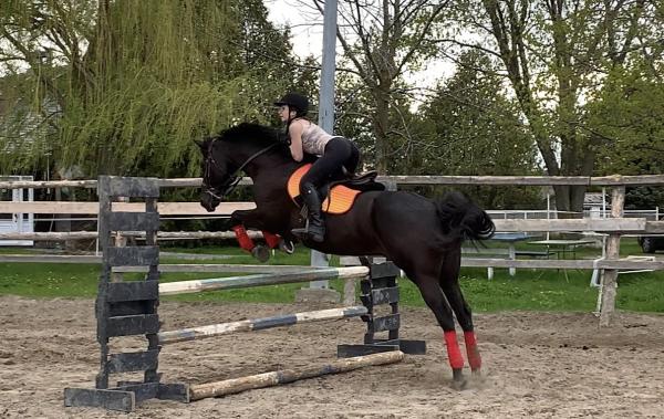 Centre Equestre Epona Tannila