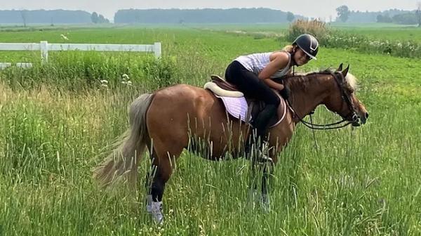 Centre Equestre Epona Tannila