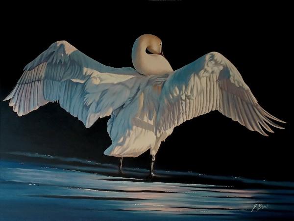 Kristi Bird Fine Art