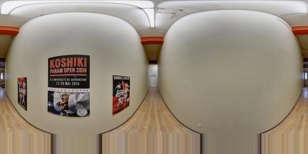 Centre d'Arts Martiaux Karaté Larry Foisy