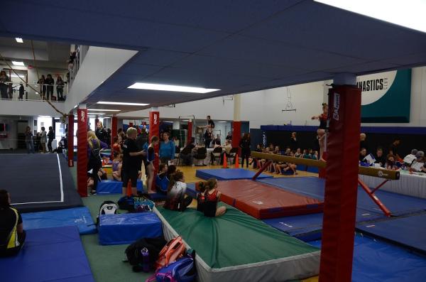 Saint Albert Gymnastics Club