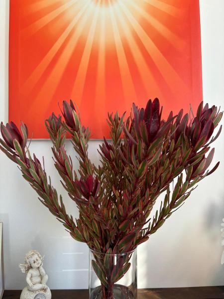 Brahma Kumaris Mississauga