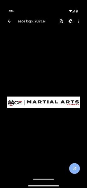 Aace Martial Arts Academy