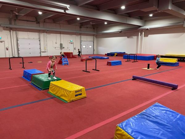 Premier Academy Cheerleading & Tumbling Red Deer