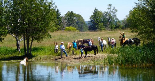 The Horseman's Word Ranch