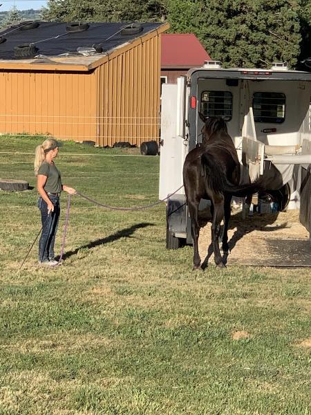 The Horseman's Word Ranch