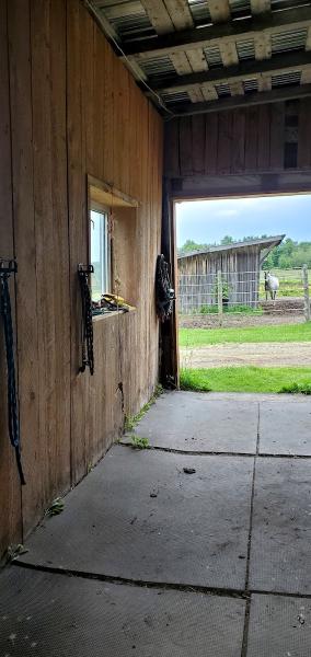 Rosewood Stable