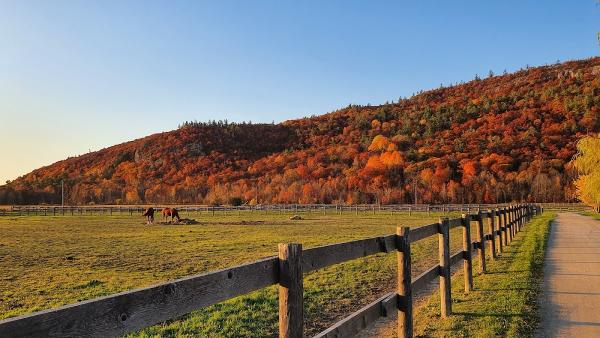 Venturing Hills Farm