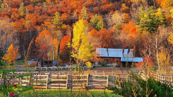 Venturing Hills Farm