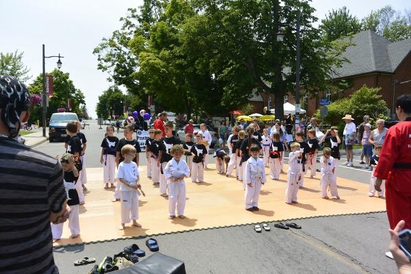 Niagara Taekwondo Fort Erie