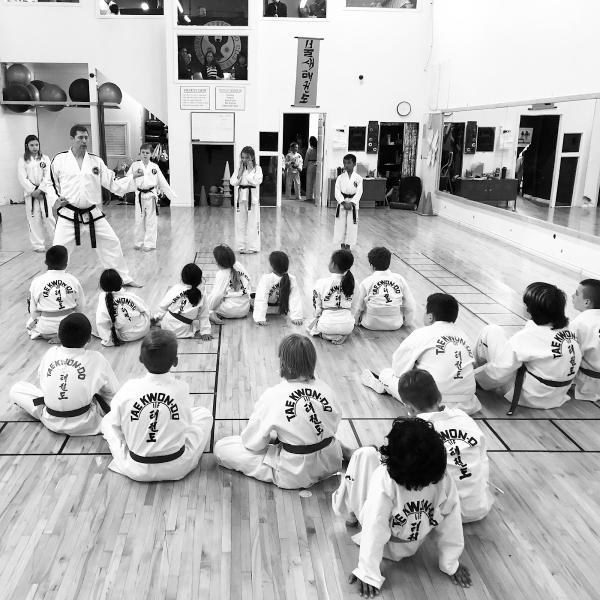 Phoenix Taekwon-Do Club