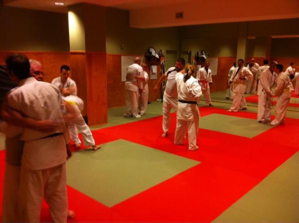 Hatsuun Jindo Martial Art