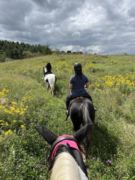 Silver Spur Ranch