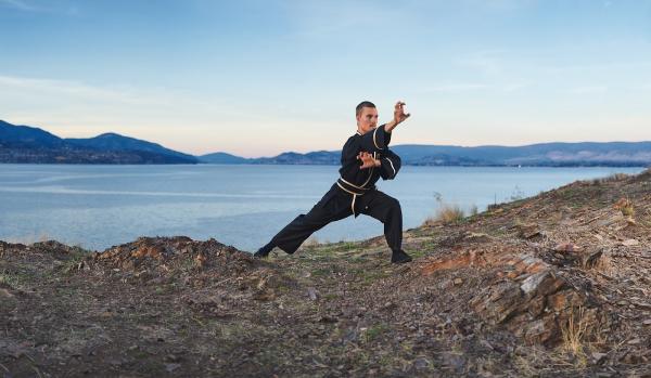 Tiger Claw Kung Fu and Tai Chi