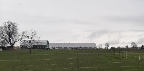 Meadowlands