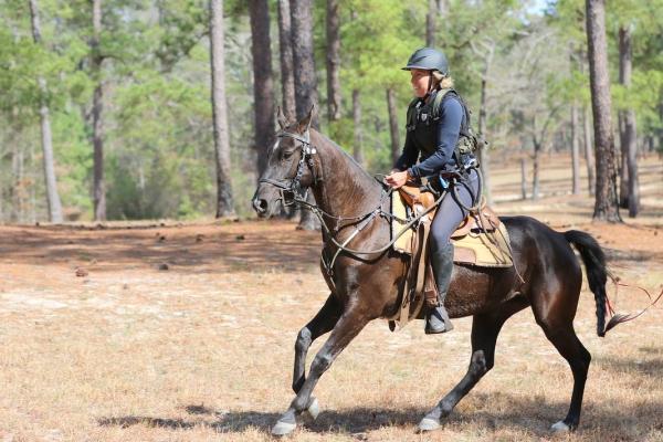 Full Circle Ranch