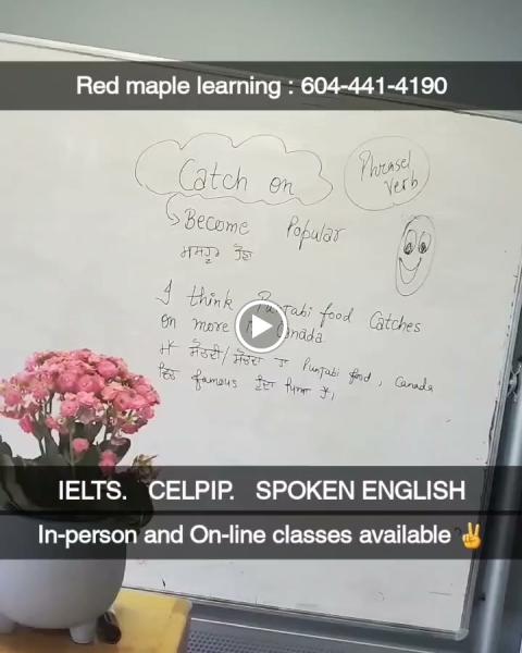 Red Maple Learning Insititute