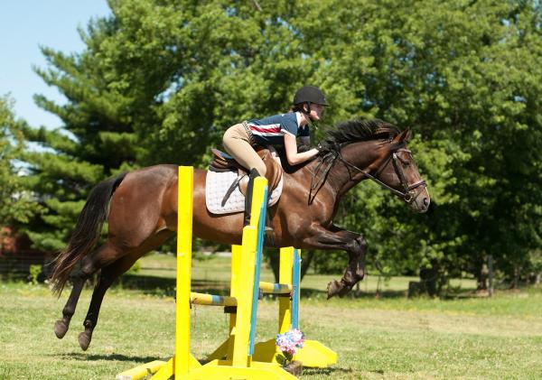 Corner Stone Farm Equestrian Centre