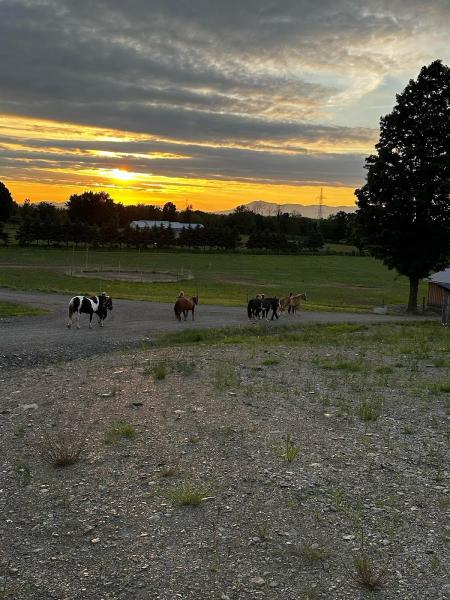 Ranch Of the Deuxième Chance