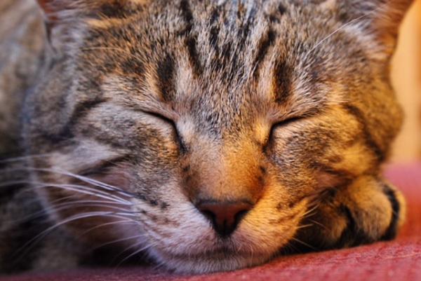 Music Lessons Barrie