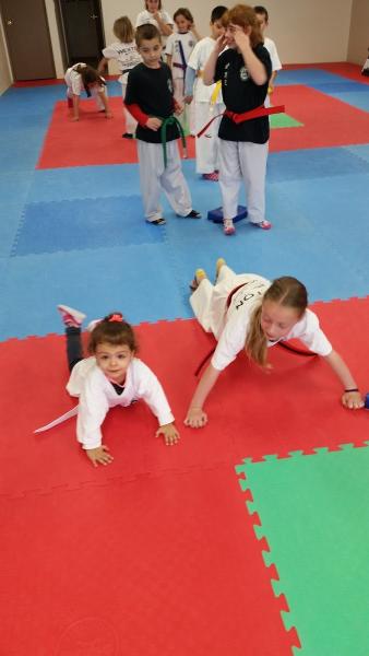 Weston Warriors Taekwon-Do Maple School