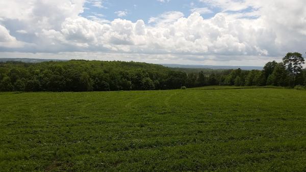 Stillbrook Riding Stables