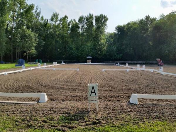 St Laurent Dressage