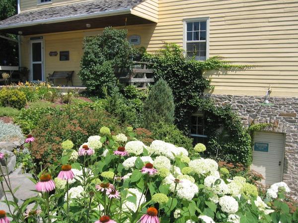 Pauline Gladstone Artist