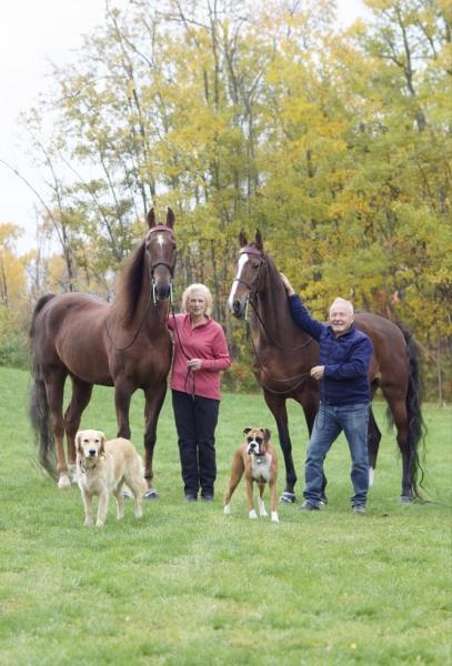 Clover Leaf Stables Equestrian Centre