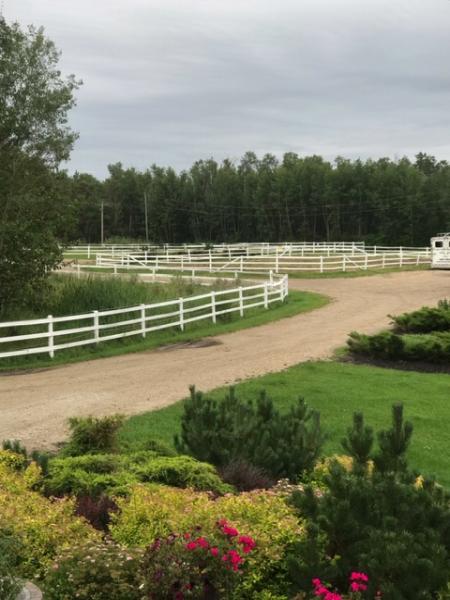 Clover Leaf Stables Equestrian Centre