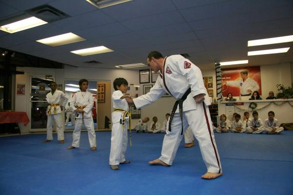 Canadian Family Taekwondo Programs