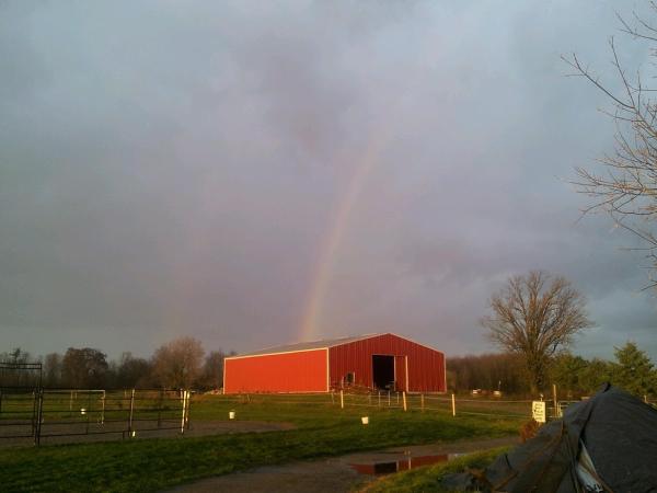 Hidlea Stables