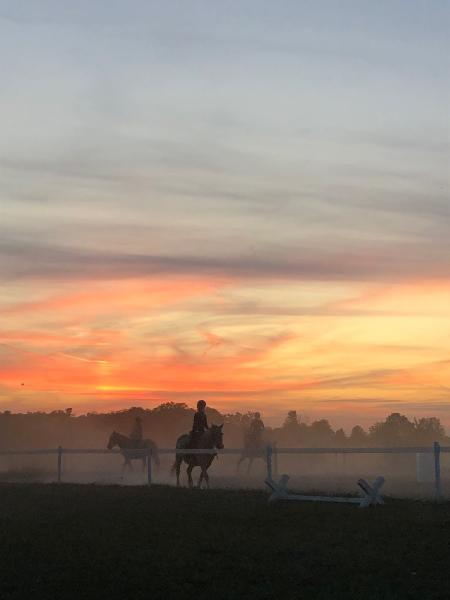 Hidlea Stables